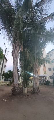 Apartamento à Venda no Condomínio Isadora – 50 m², Reformado e com Móveis Projetados, bairro Cristo Rei