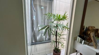 Casa no Centro de Itabaiana com 4 quartos 1 suíte 3 banheiros, e fácil acesso ao comércio.