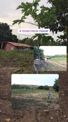 Propriedade com 5 tarefas no Povoado Ribeira - Itabaiana/SE