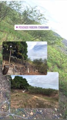 Propriedade com 5 tarefas no Povoado Ribeira - Itabaiana/SE