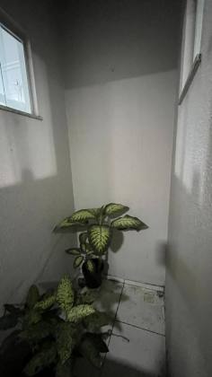 Casa com 2 quartos 1 suítes no bairro Rotary em Itabaiana
