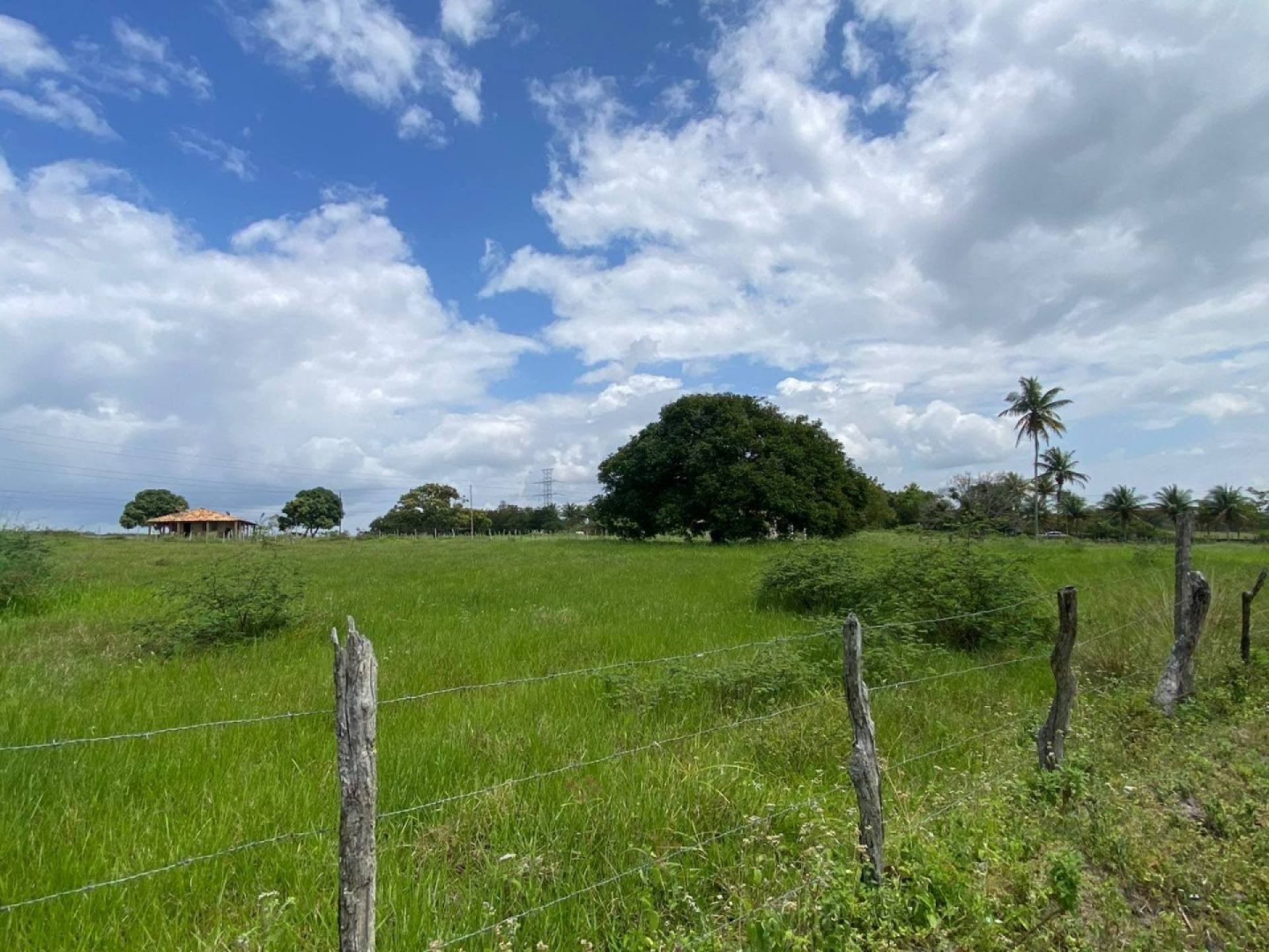 Terreno á Venda no Povoado Lagoa Do Forno - Itabaiana/SE
