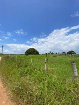 Terreno á Venda no Povoado Lagoa Do Forno - Itabaiana/SE