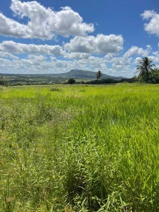 Terreno com 4 Tarefas - Estrada de Acesso ao Povoado Mangueira – Itabaiana/SE