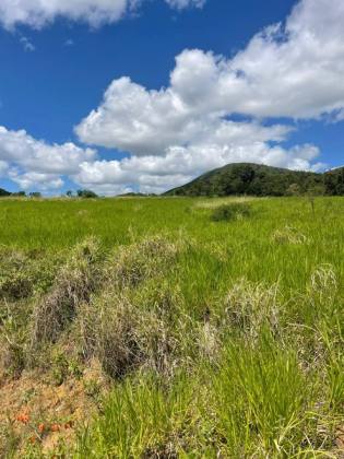 Terreno com 4 Tarefas - Estrada de Acesso ao Povoado Mangueira – Itabaiana/SE