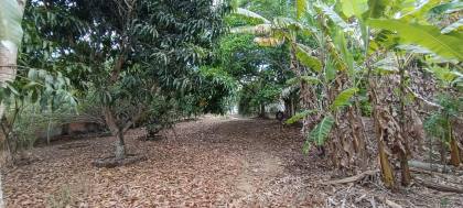 Espaço, Conforto e Natureza na Agrovila! Chácara Ampla com 3 Tarefas (Em construção)