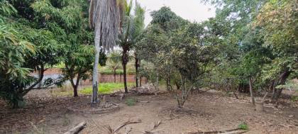 Espaço, Conforto e Natureza na Agrovila! Chácara Ampla com 3 Tarefas (Em construção)