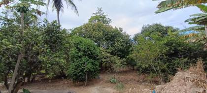 Espaço, Conforto e Natureza na Agrovila! Chácara Ampla com 3 Tarefas (Em construção)
