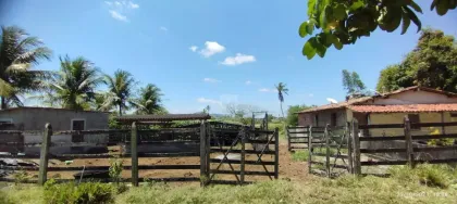 Chácara com: 7 tarefas, 4 quartos, no Povoado Área Rural em Itabaiana.