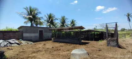 Chácara com: 7 tarefas, 4 quartos, no Povoado Área Rural em Itabaiana.