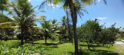 Chácara com: 7 tarefas, 4 quartos, no Povoado Área Rural em Itabaiana.