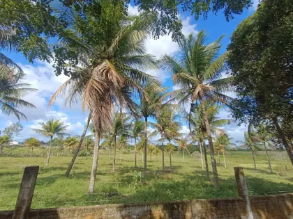 Chácara contendo 2 casas confortáveis, no Povoado Área Rural em Itabaiana.