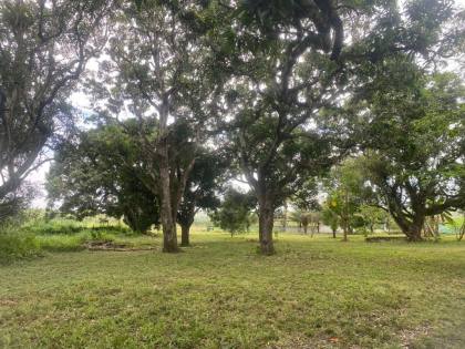 Terreno com 22 tarefas em Itabaiana - Lagoa do Forno