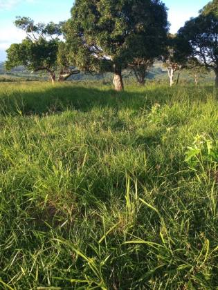 Lote no Povoado Bom Jardim em Itabaiana