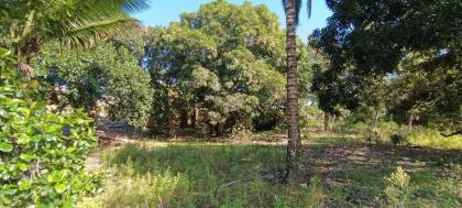 Espaço com Fartura e Conforto! Magnífica Propriedade de 10 Tarefas no Povoado Ribeira