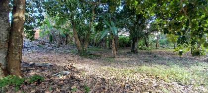 Espaço com Fartura e Conforto! Magnífica Propriedade de 10 Tarefas no Povoado Ribeira
