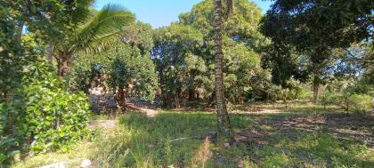 Espaço com Fartura e Conforto! Magnífica Propriedade de 10 Tarefas no Povoado Ribeira