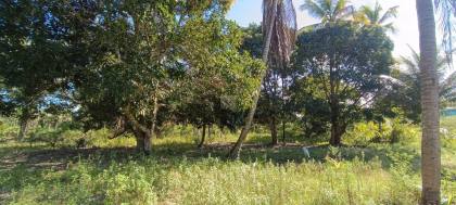 Espaço com Fartura e Conforto! Magnífica Propriedade de 10 Tarefas no Povoado Ribeira