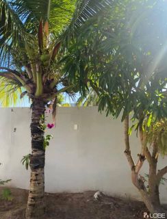 Maikai Residencial Resort - Casa de Alto Padrão no Condomínio