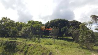 SÍTIO À VENDA EM AREIA BRANCA/SE