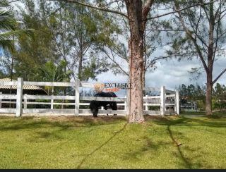 Lote à Venda no Condomínio Haras Residence – Sergipe