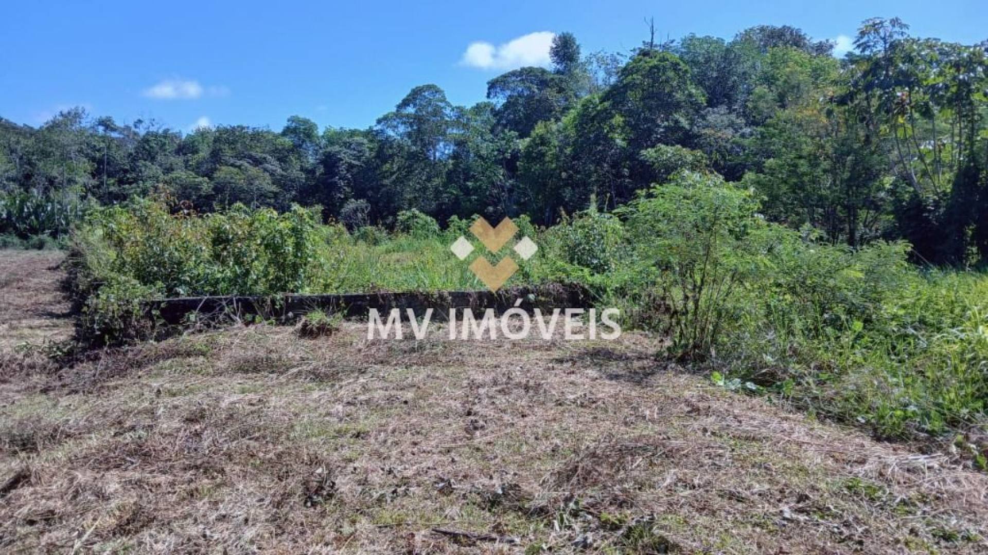 Terreno à venda com 42000m² de terreno no Alça Viaria, Acará (PA) — foto 2 de 30