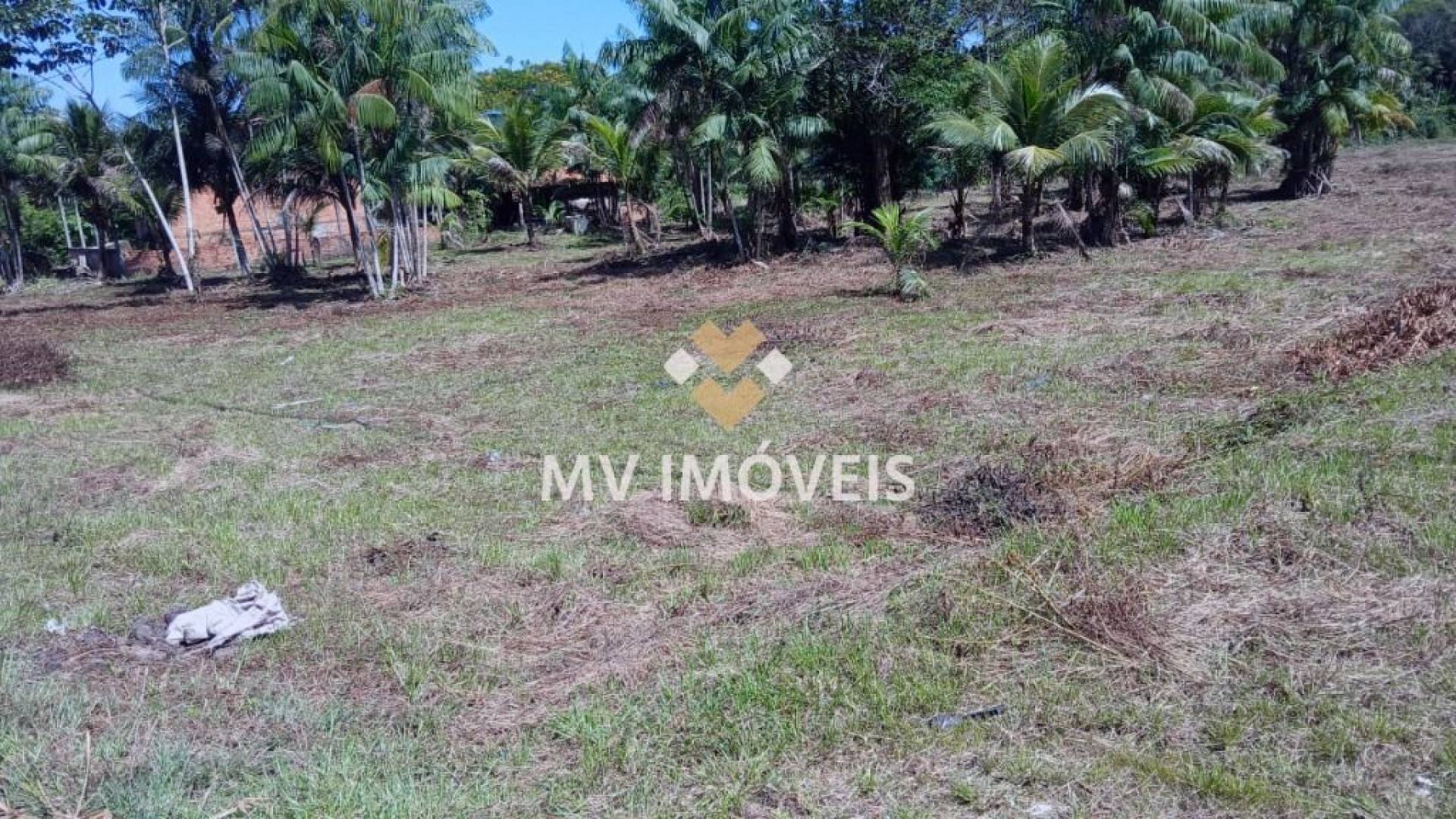 Terreno à venda com 42000m² de terreno no Alça Viaria, Acará (PA) — foto 3 de 30