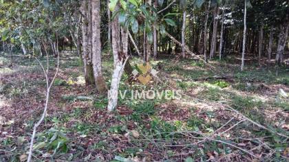 Terreno à venda na Alça Viária - Alça Viaria - Acará/PA
