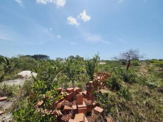 Lote em Santo Amaro das Brotas