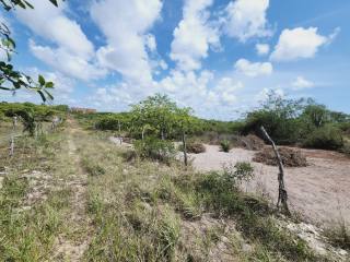 Lote em Santo Amaro das Brotas