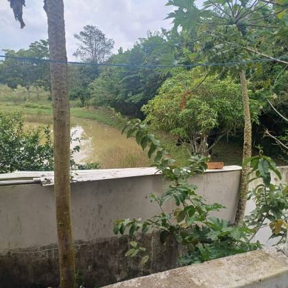 CHÁCARA SONHO MEU - SÃO CRISTÓVÃO