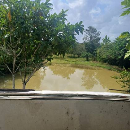 CHÁCARA SONHO MEU - SÃO CRISTÓVÃO