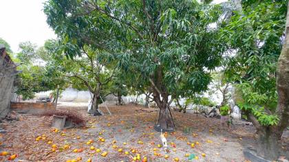 CHACÁRA NATUREZA - EM SÃO JOSÉ DOS NÁUFRAGOS