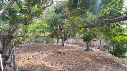 CHACÁRA NATUREZA - EM SÃO JOSÉ DOS NÁUFRAGOS
