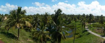 LOTE NO CONDOMÍNIO THAI RESIDENCE