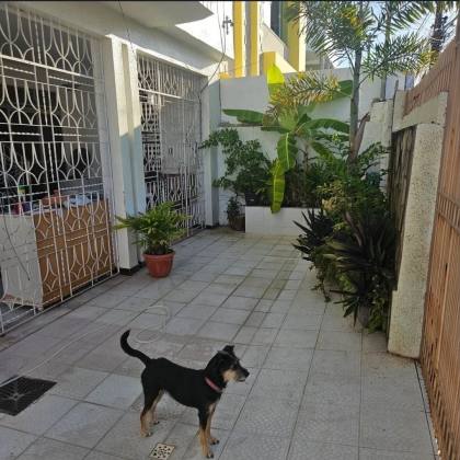 CASA EM RUA PÚBLICA - SUÍSSA