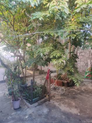 CASA EM RUA PÚBLICA - SUÍSSA