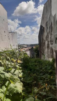 TERRENO NO CIRURGIA