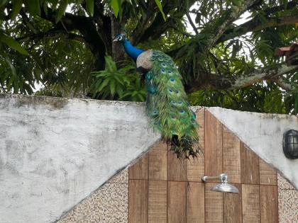 CASA NO BAIRRO SUÍSSA / AV. EXPLOSÃO