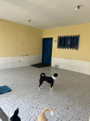 CASA NA FAROLÂNDIA