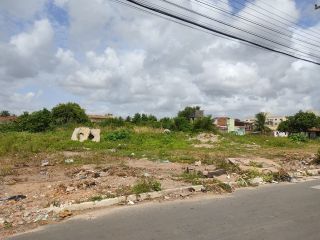 Terreno no Rosa Elze