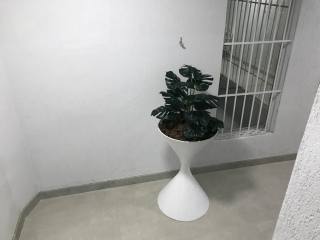 Galeria Nice