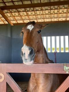 Lote no Fazenda Real Residence