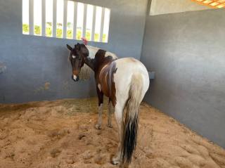 Lote no Fazenda Real Residence
