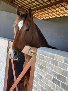 Lote no Fazenda Real Residence