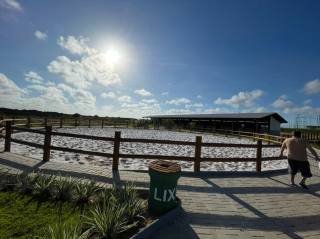 Lote no Fazenda Real Residence
