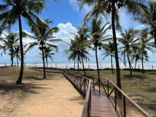 Lote no Maikai
