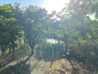 Sitio em Lagarto