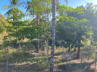 Sitio em Lagarto