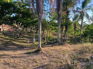 Sitio em Lagarto
